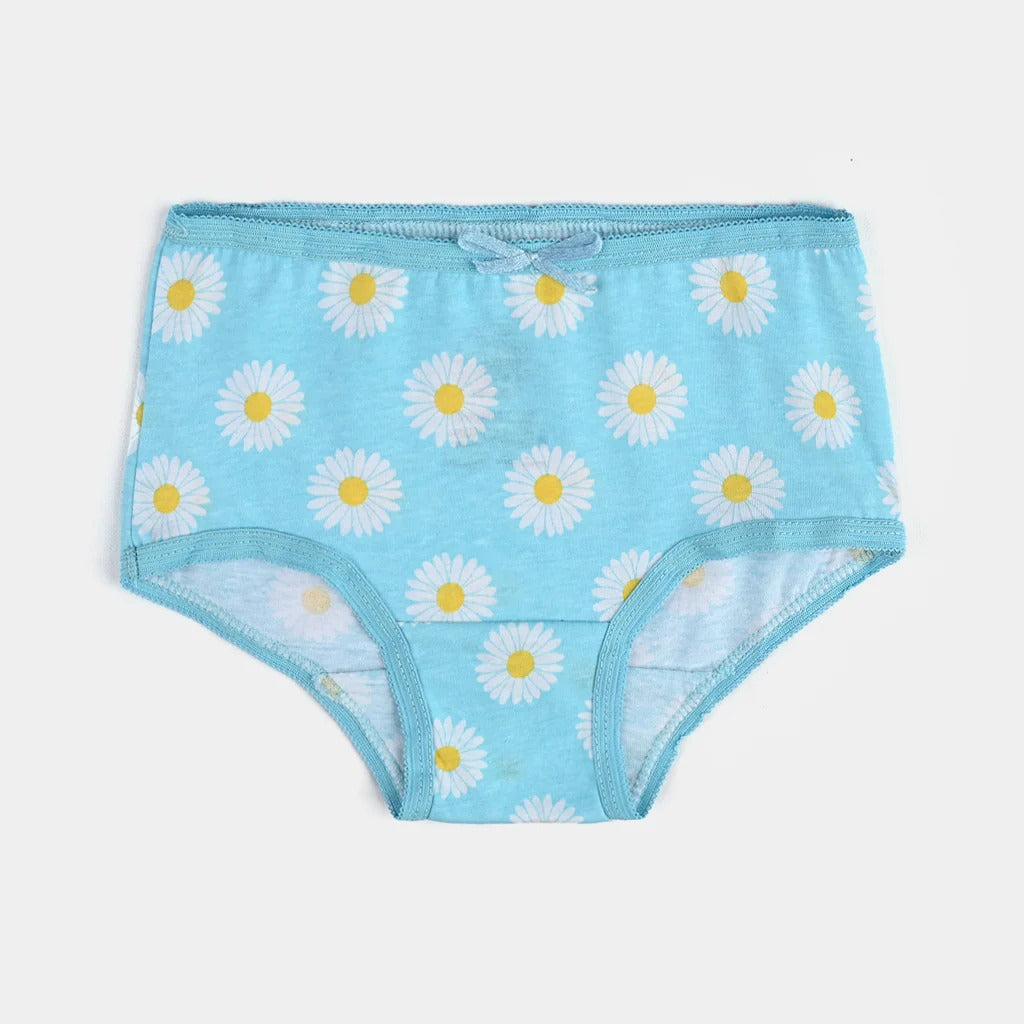 Girls Cotton Jersey Panties Pack of 2 | Flower & Stripe